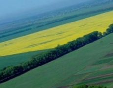 ВР Украины не продлила мораторий на продажу земли Верховная Рада